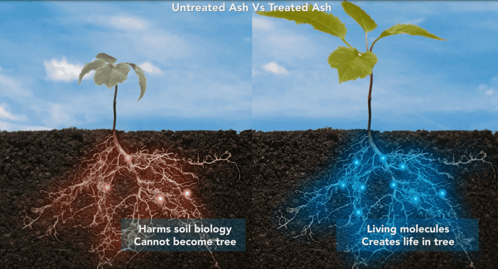 UNTREATED ASH VERSUS TREATED ASH DIAGRAM