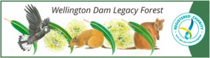 wellington dam legacy forest