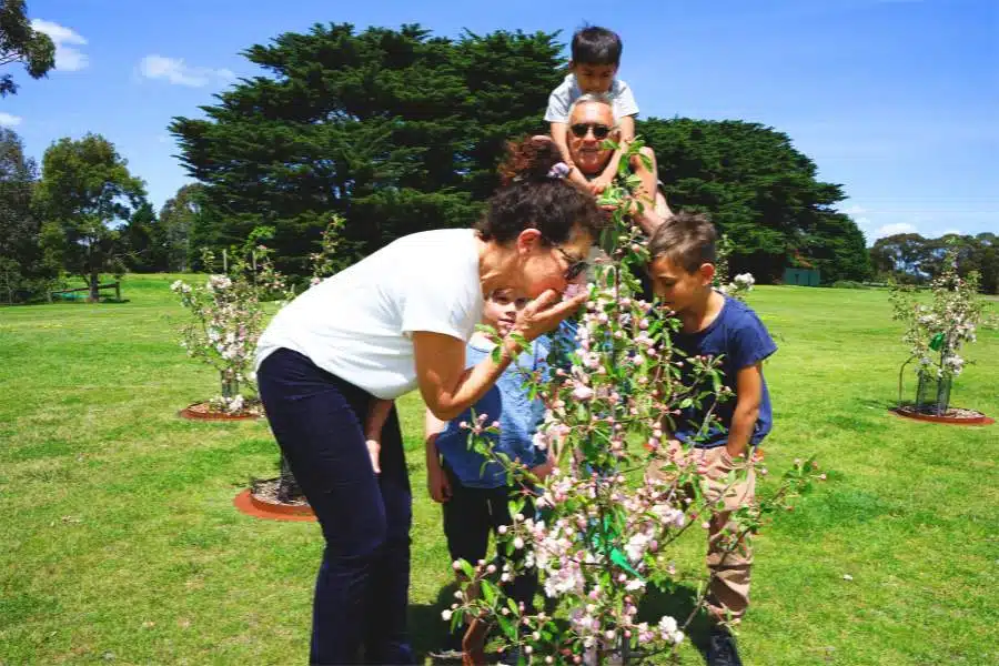 Read and learn here for a full list of unique celebration of life ideas available in Australia