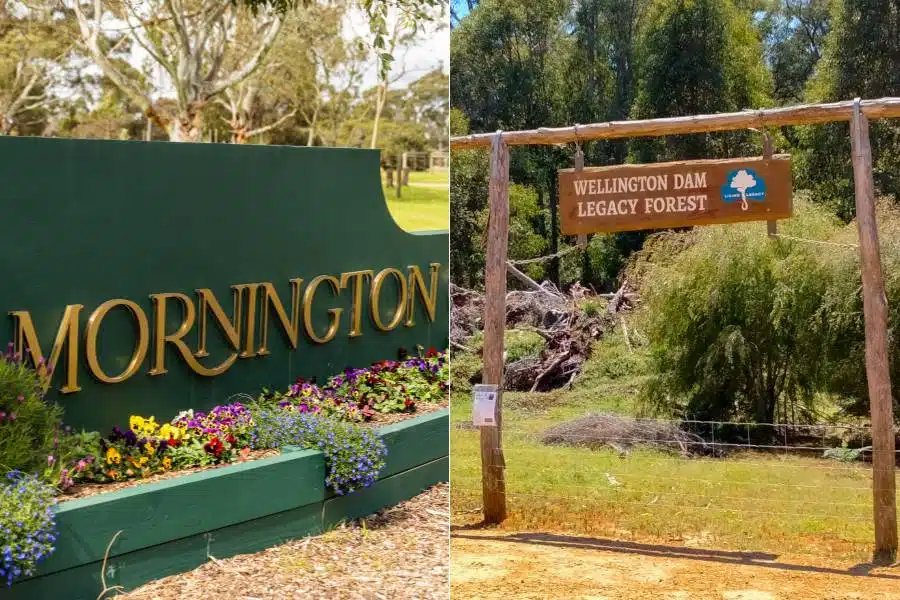 Where are the locations for planting a memorial tree for our pet in Australia? The locations are Mornington Green Living Legacy Gardens and Wellington Dam Living Legacy Forest