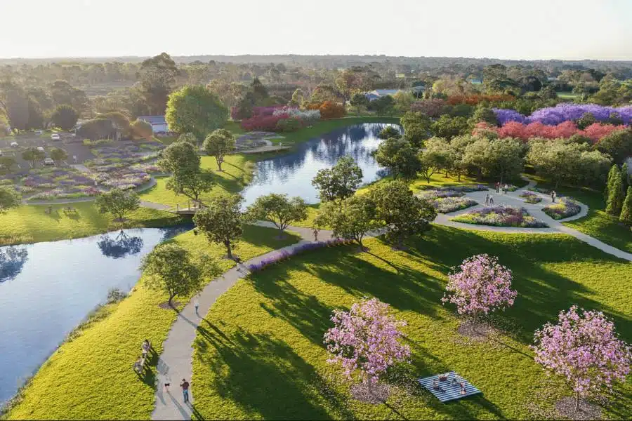 Here we explain all locations to plant a memorial tree for your pet in Australia