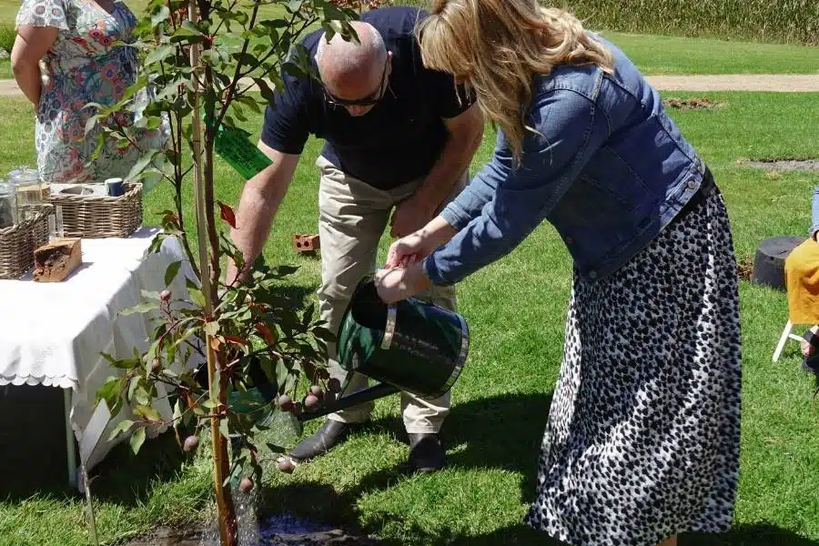 Memorial tree planting process in Australia
