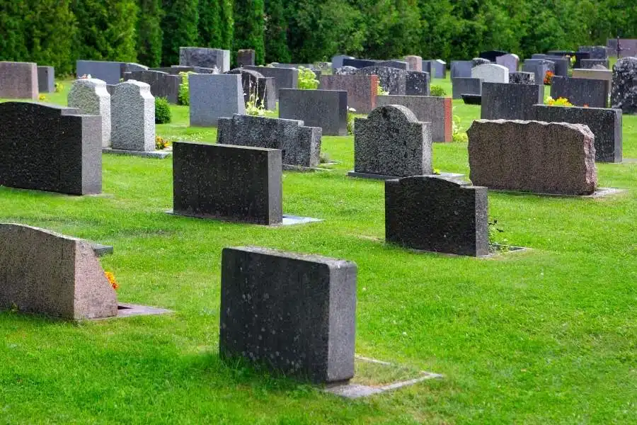 The Reality Of Traditional End Of Life Options In Australia By Living Legacy Forest