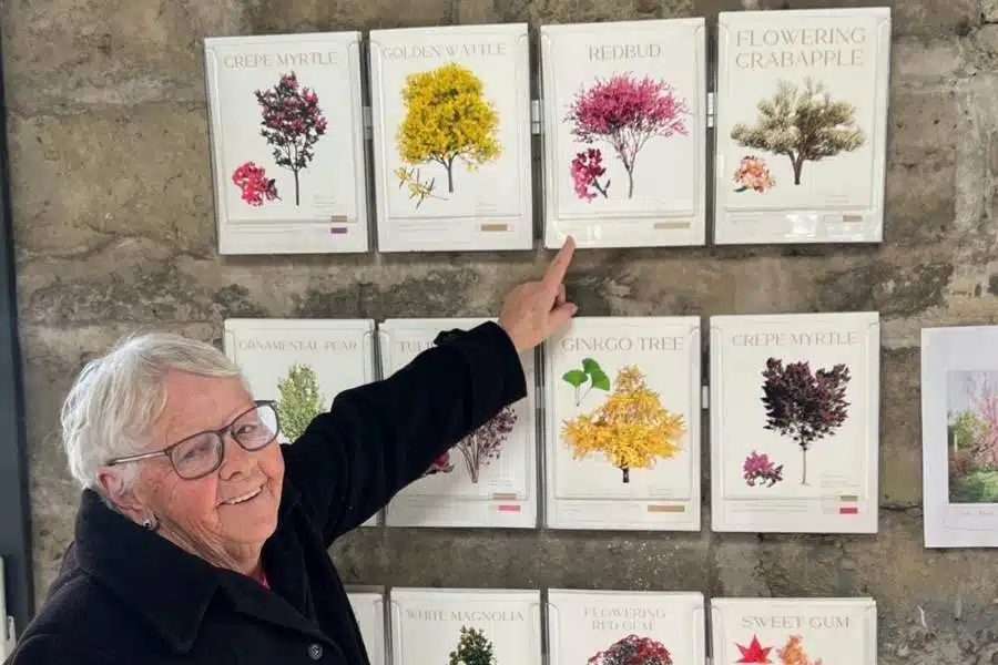 Read Here For Full Explanation Of What Your Family Gets When Choosing Living Legacy Trees As The Best Memorial Idea In Australia
