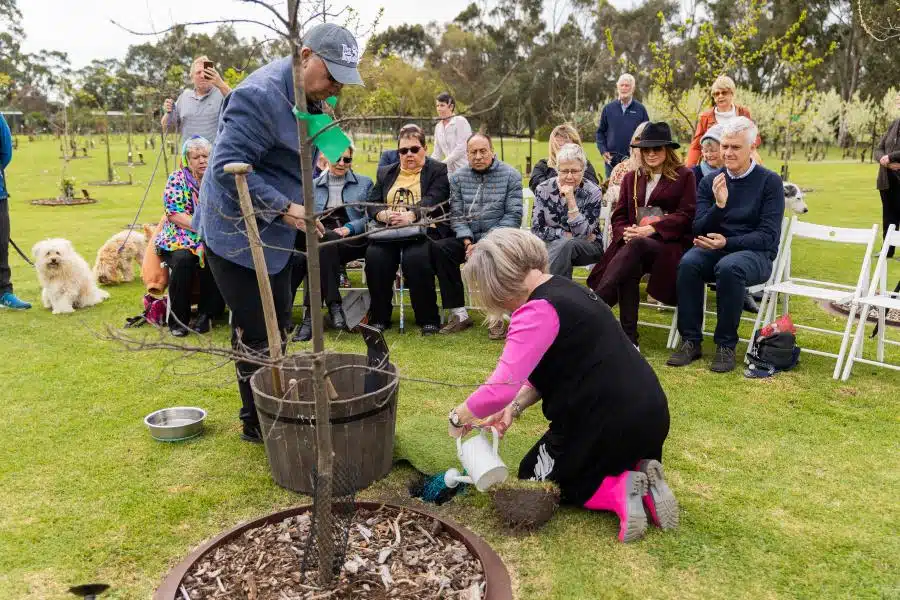 Memorial tree planting activity by a woman and her husband in Australia
