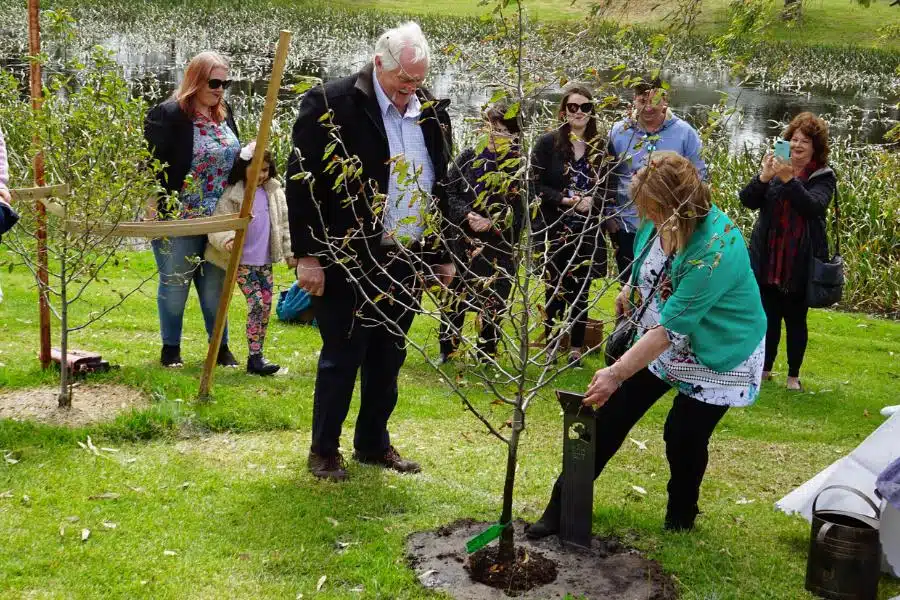 Cost of planting a memorial tree in Australia