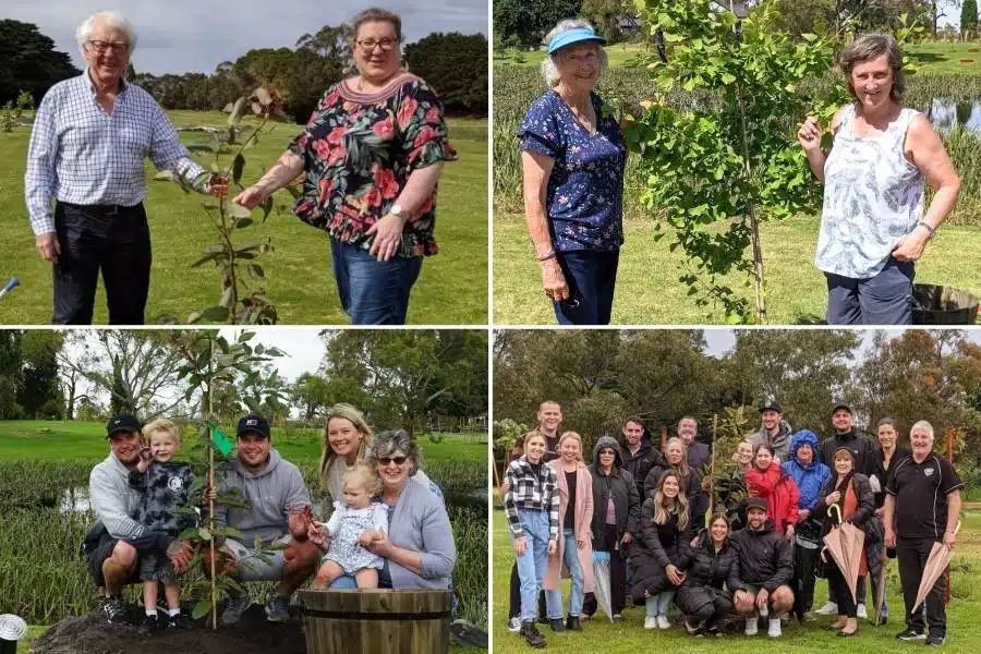 Alternative to cemetery in Australia is Living Legacy Trees