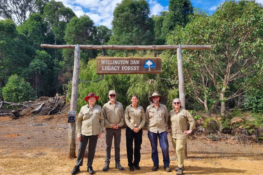 Location of Living Legacy Tree in Western Australia at Wellington Dam Living Legacy Forest