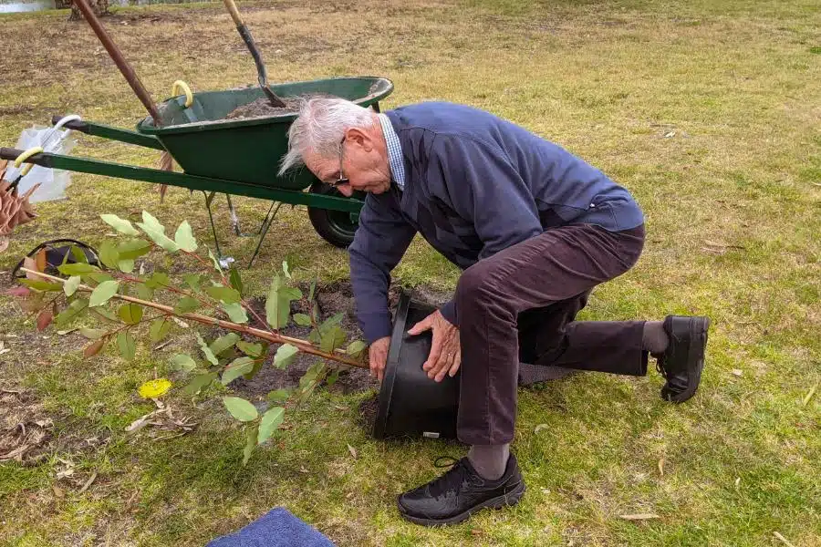 How to live longer with heart disease in Australia? plant A Living Legacy Tree