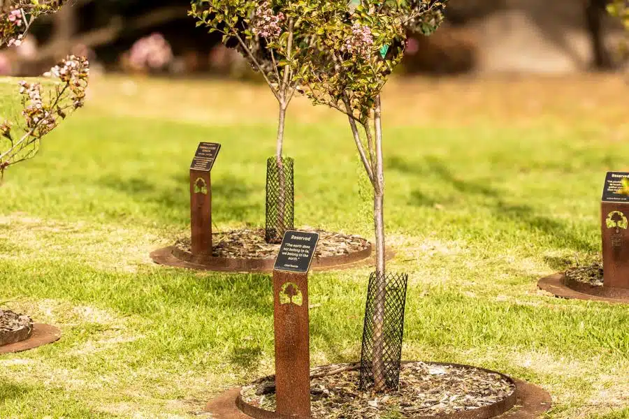 Memorial trees in Australia at Mornington Green Living Legacy Gardens