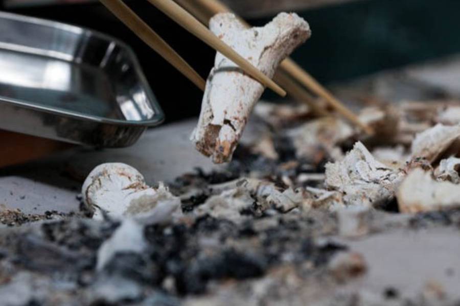 Human remains after cremation by Cremation Institute