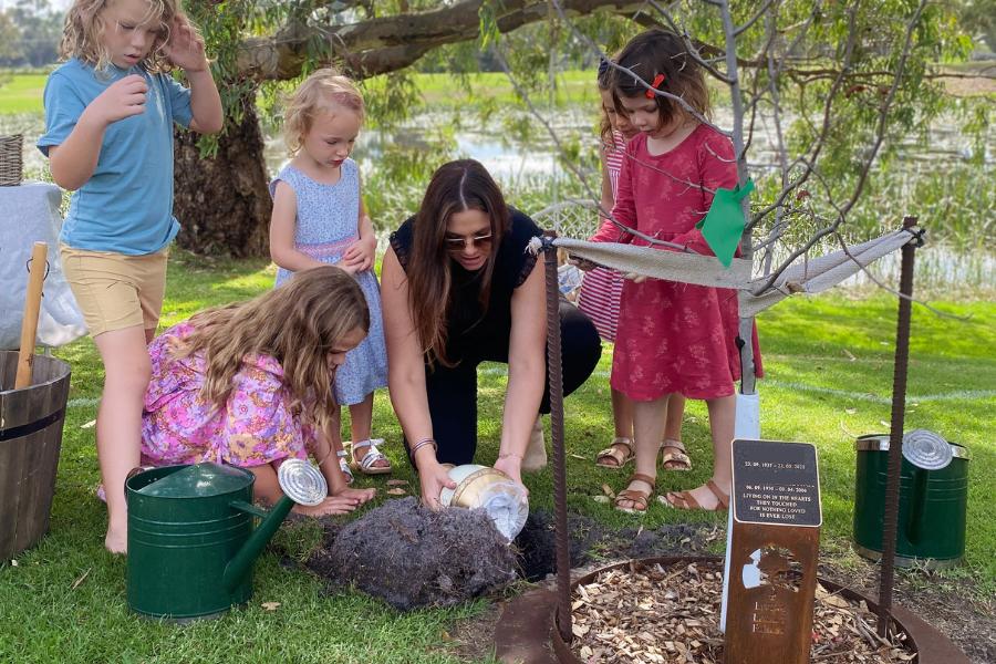 full guide of bury ashes under tree and ashes into a tree