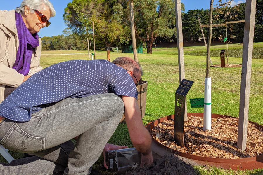 A man putting ashes into a tree in Australia