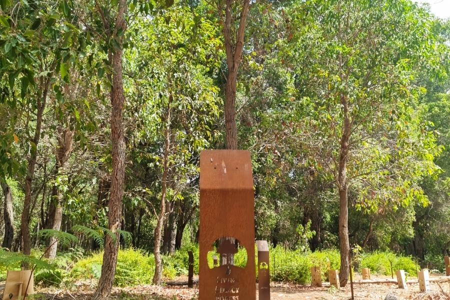 The best location to bury ashes under a tree and ashes into a tree is at Mornington Green Living Legacy Gardens and Wellington Dam Living Legacy Forest
